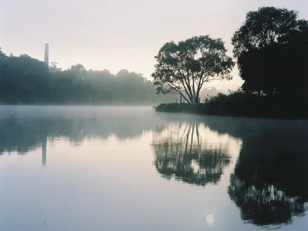 Misty Sunrise on Barwon River
