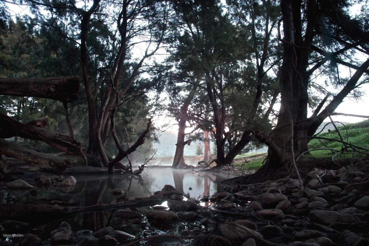 Moody dusk scene at Wee Jasper Creek with rocky banks, fallen logs, and dark twisted trees framing a still shallow pool reflecting the last light of day