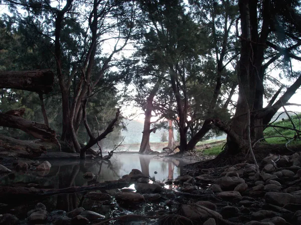 Wee Jasper Creek