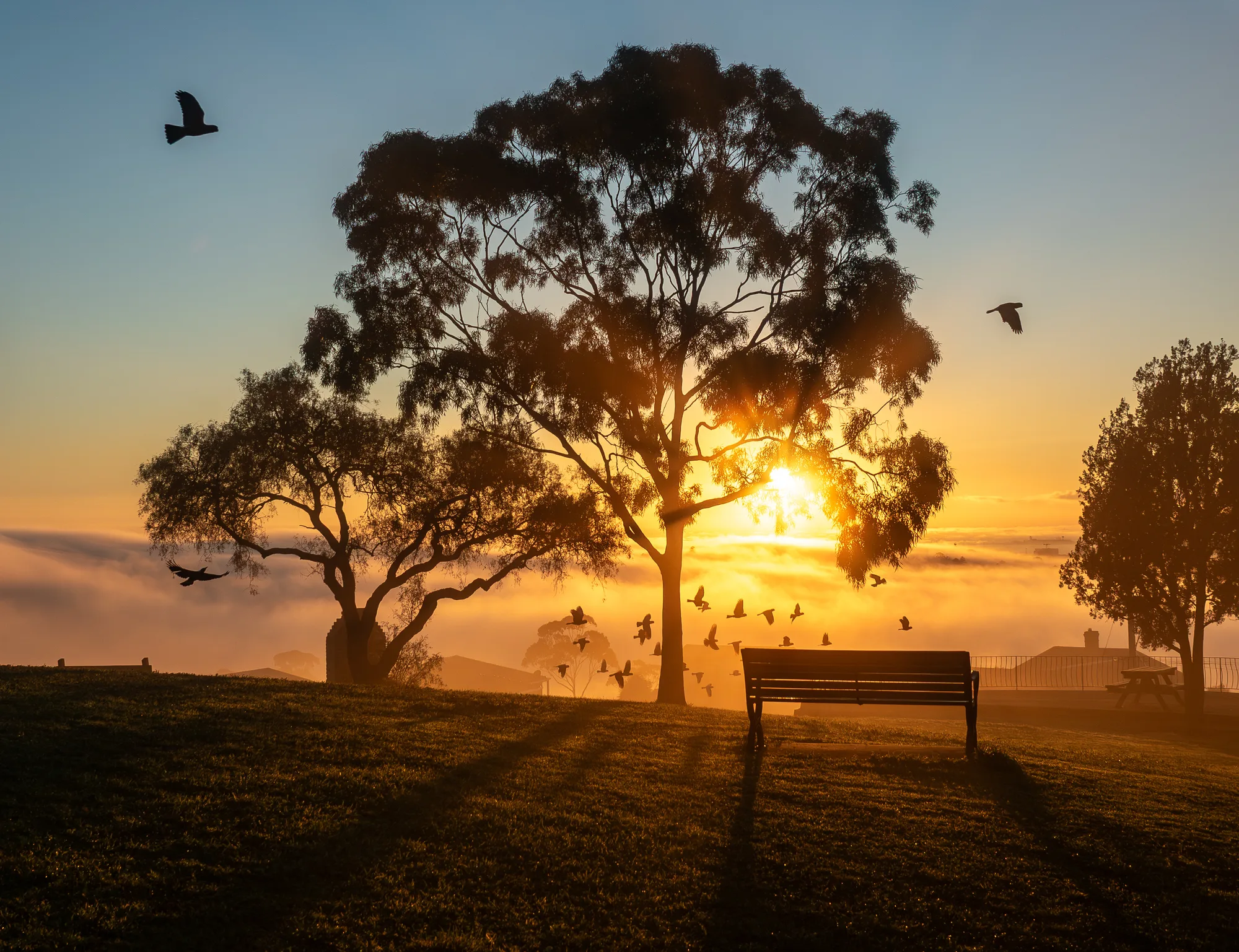 Landscapes